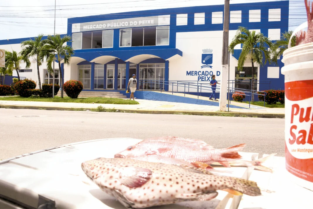 mercadopeixe