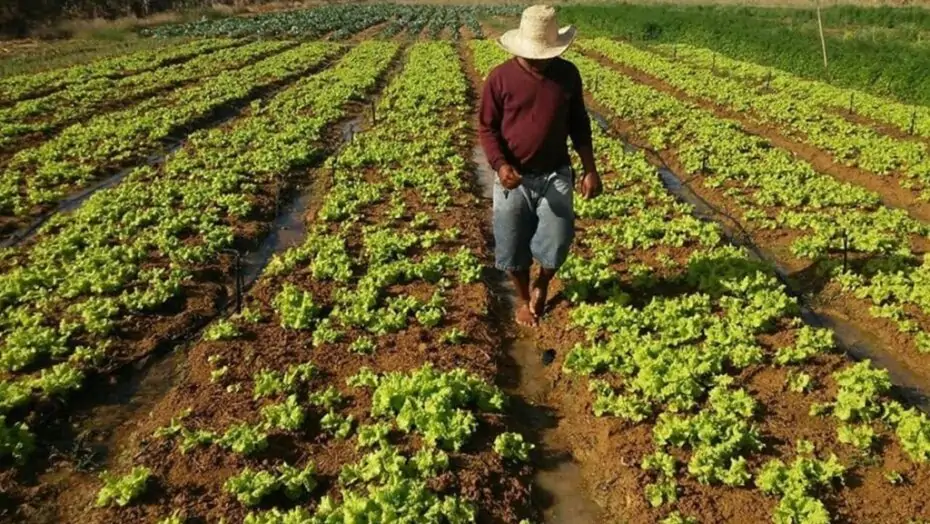 agricultura-familiar-1024x643-1-930x524-1