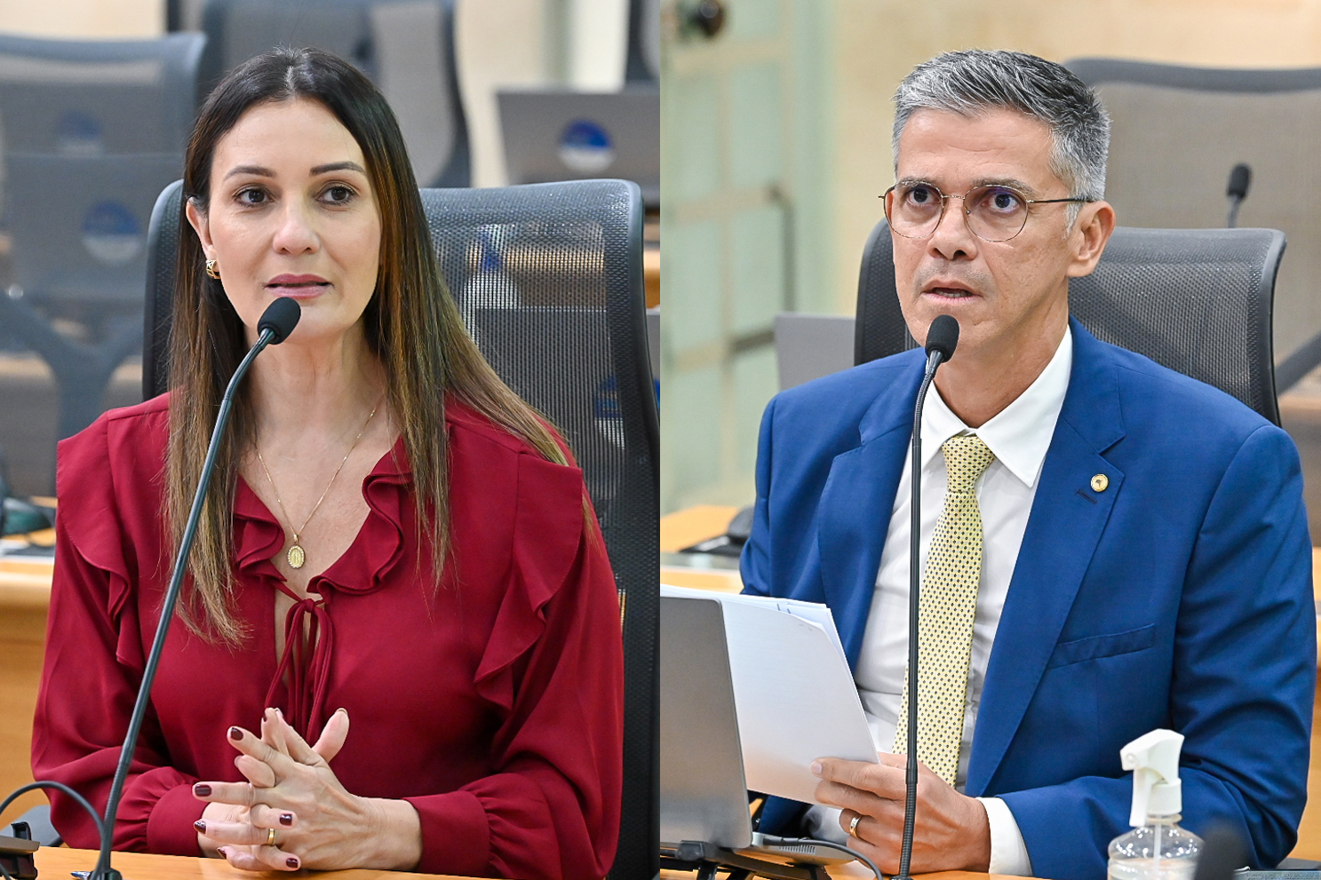 lei-maria-da-penha