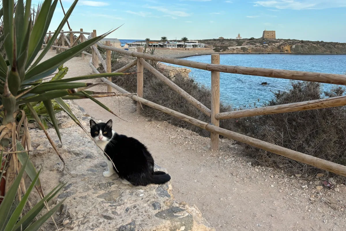 ilha-espanha