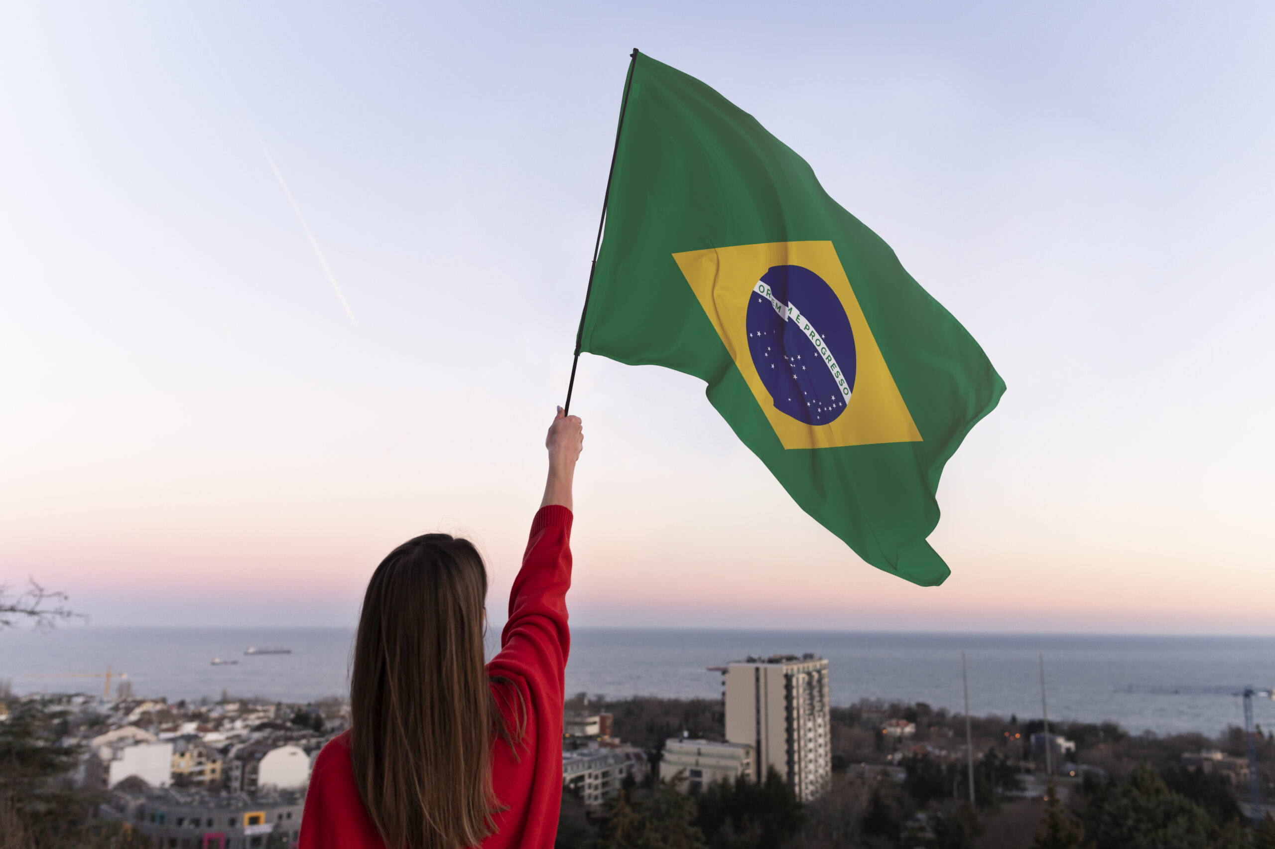 composicao-da-bandeira-brasileira