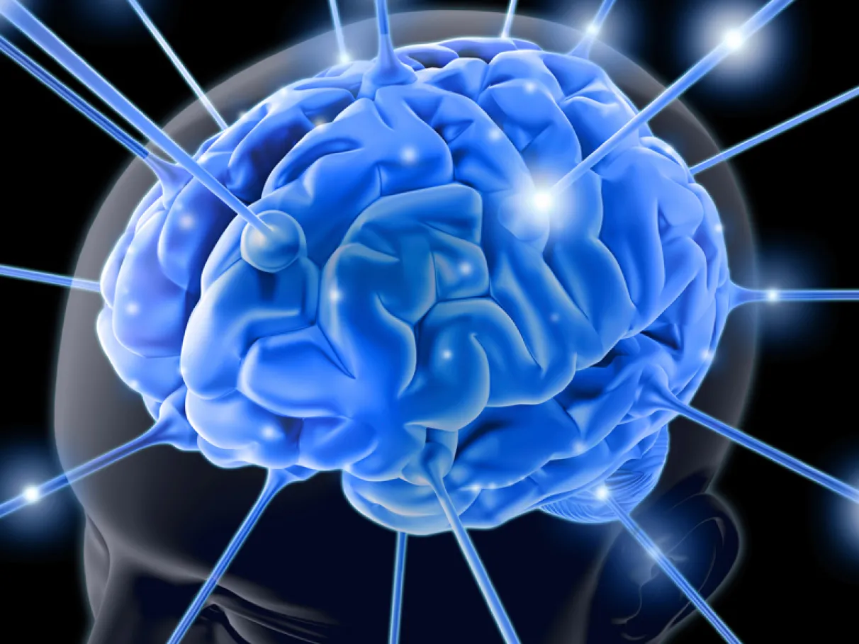 cerebro-inteligencia-20120801-01-original11