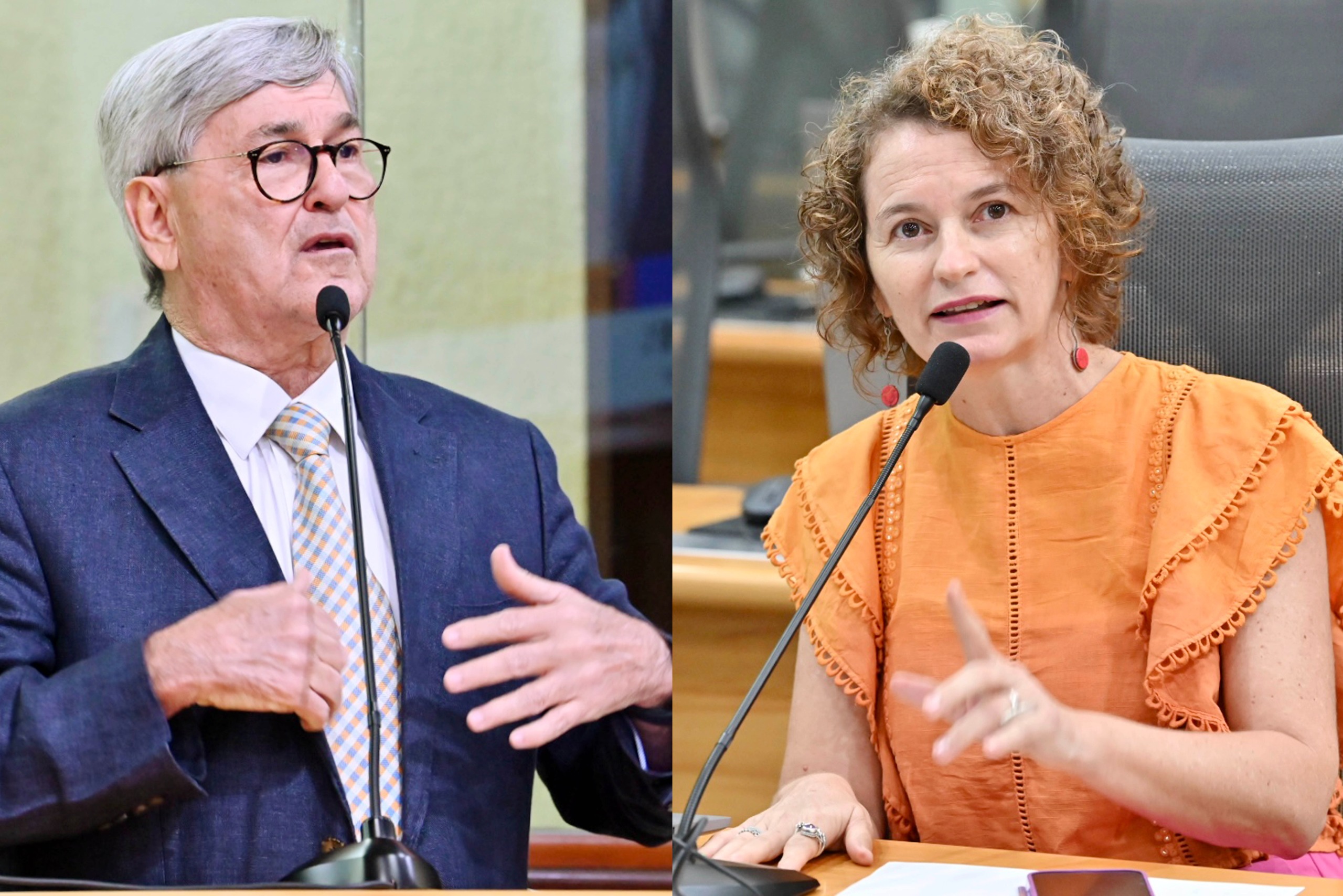 deputadas